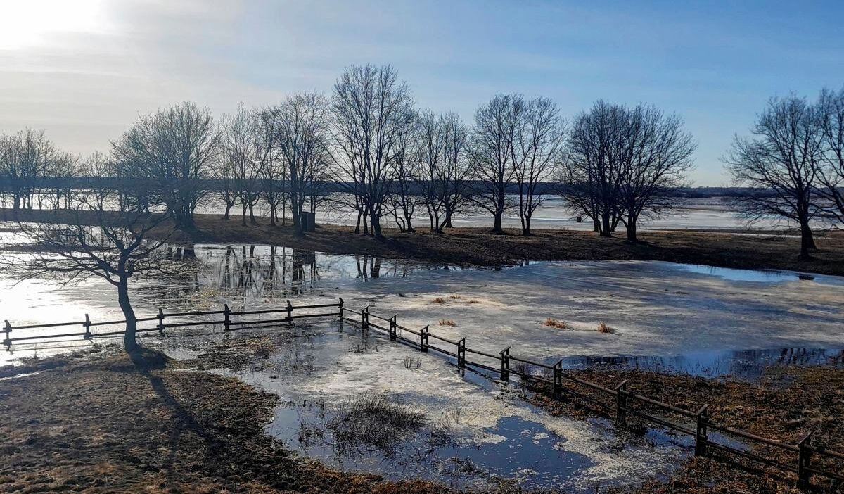 Polonya da kuzey bolgelerinde siddetli ruzgar ve don uyarisi 58734