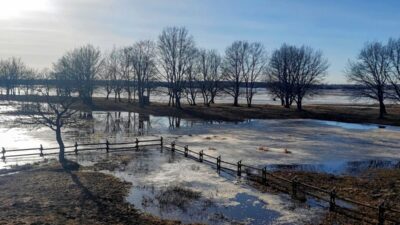 Polonya da kuzey bolgelerinde siddetli ruzgar ve don uyarisi 58734