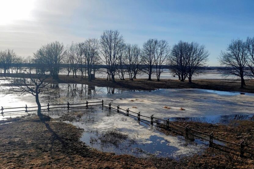 Polonya da kuzey bolgelerinde siddetli ruzgar ve don uyarisi 58734