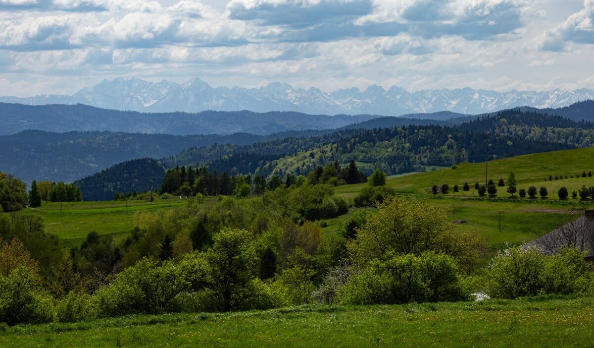 Polonya da mayis tatili gunesli ve sicak hava ile karsilanacak 67008