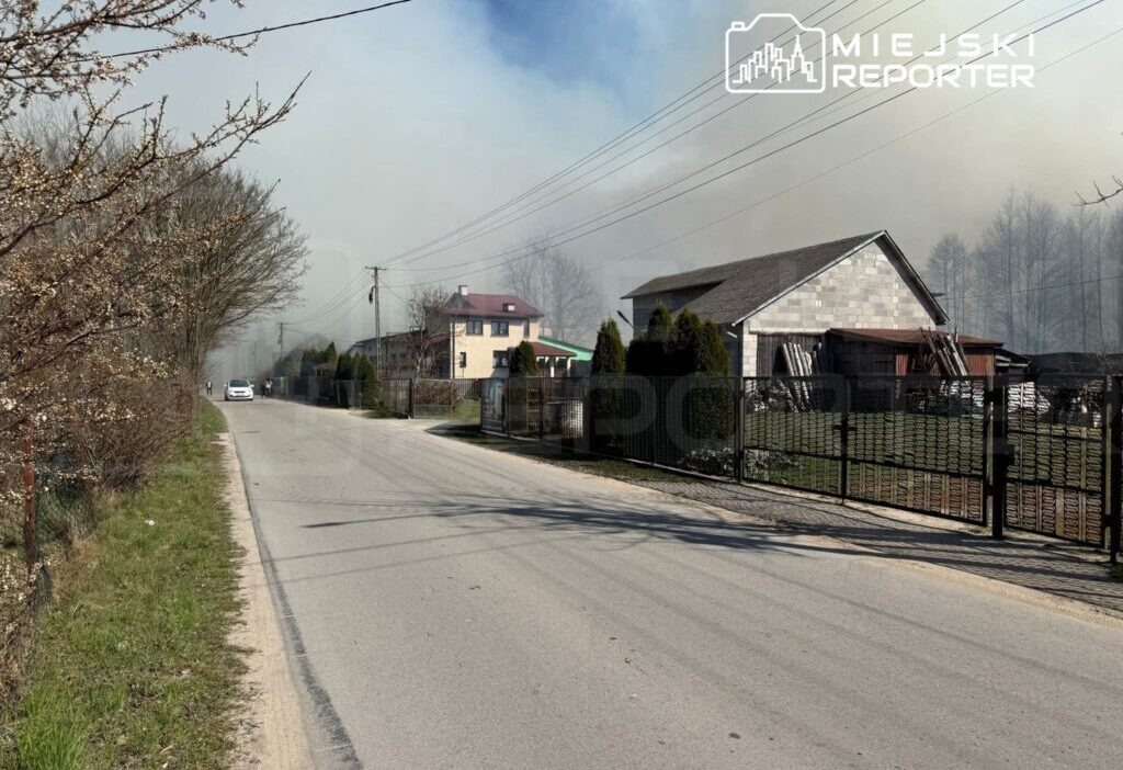 Polonya'da orman yangını: tarla yakımı facia ile sonuçlandı 1 Polonya da orman yangini tarla yakimi facia ile sonuclandi 58995