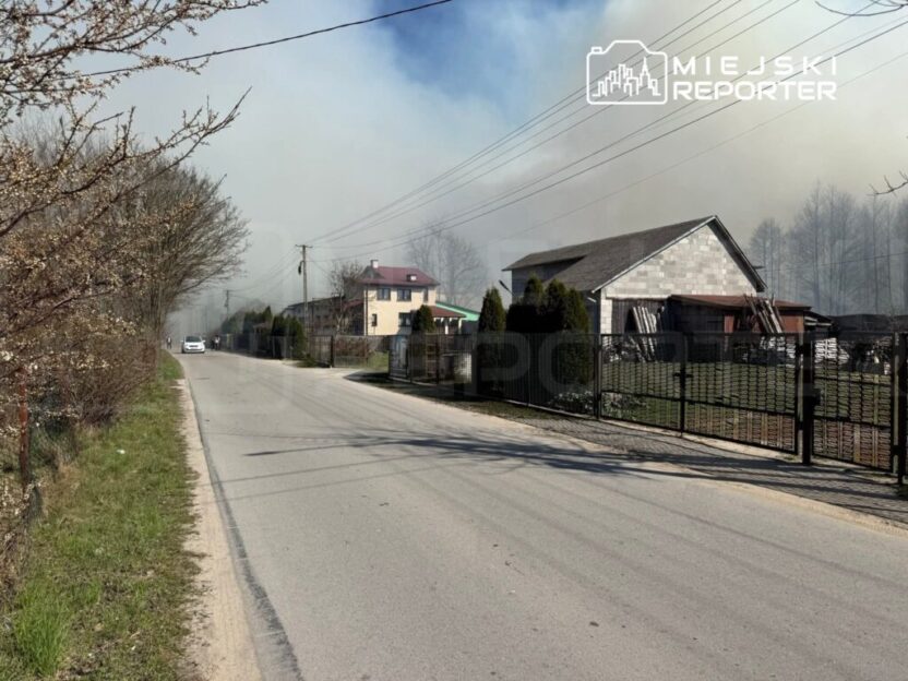 Polonya da orman yangini tarla yakimi facia ile sonuclandi 58995