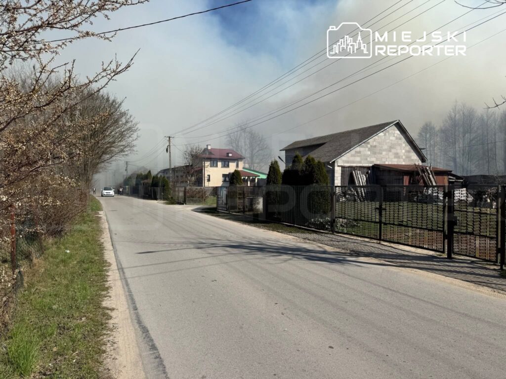 polonya da orman yangini tarla yakimi facia ile sonuclandi 58995