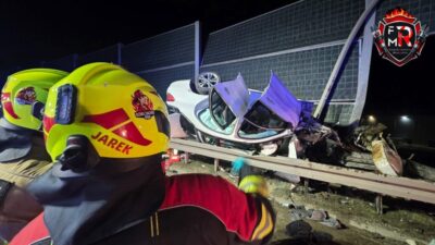 Polonya da otobandan cikan aracta bir yarali 60089