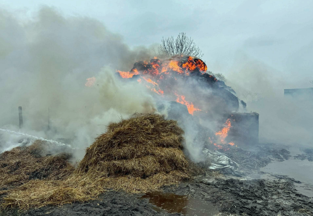 polonya da salyali yangin 3 supheli gozaltina alindi 61335