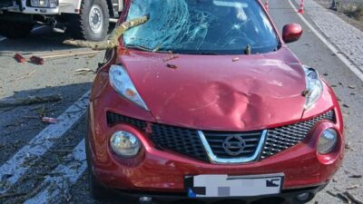 Polonya da siddetli ruzgar agac dusmesi sonucu otomobilde hasar 59147