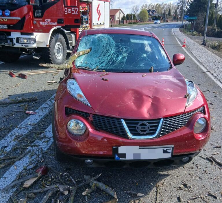 Polonya'da şiddetli rüzgar: ağaç düşmesi sonucu otomobilde hasar 1 Polonya da siddetli ruzgar agac dusmesi sonucu otomobilde hasar 59147