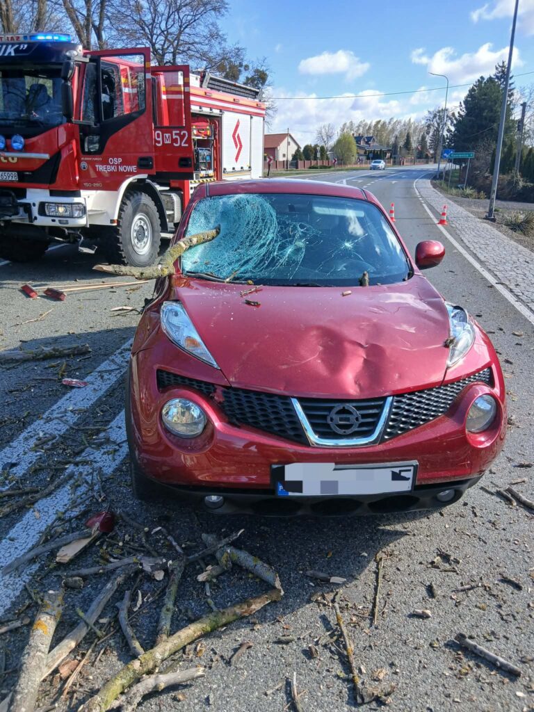 Polonya da siddetli ruzgar agac dusmesi sonucu otomobilde hasar 59147