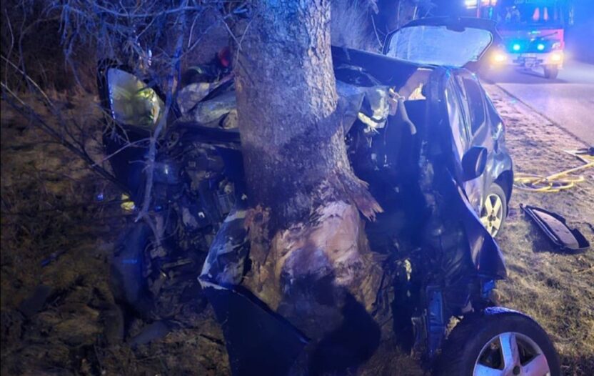 Polonya'da trafik kazasında 17 yaşındaki sürücü hayatını kaybetti 5 Polonya da trafik kazasinda 17 yasindaki surucu hayatini kaybetti 58894