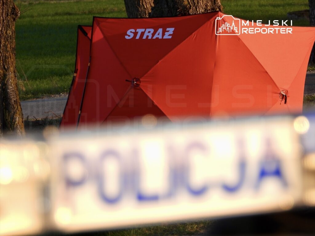 polonya da trajik kaza 3 yasindaki cocuk traktor kazasinda hayatini kaybetti 65363