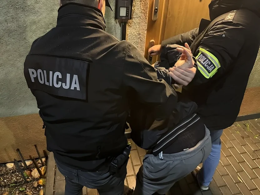 Polonya da ukraynali baba bebeklerine siddet uyguladiktan tutuklandi 61787