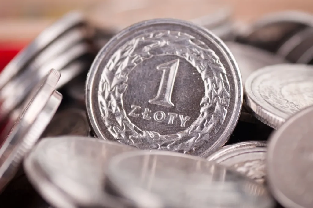 polonya da vergi muafiyeti miktari 60 bin z oty ye yukseltilme projesi hazirlaniyor 59252