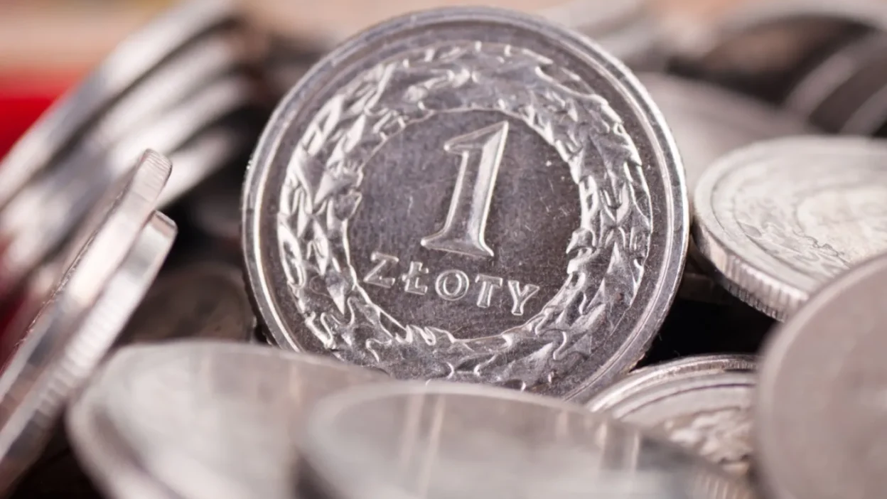 Polonya da vergi muafiyeti miktari 60 bin z oty ye yukseltilme projesi hazirlaniyor 59252