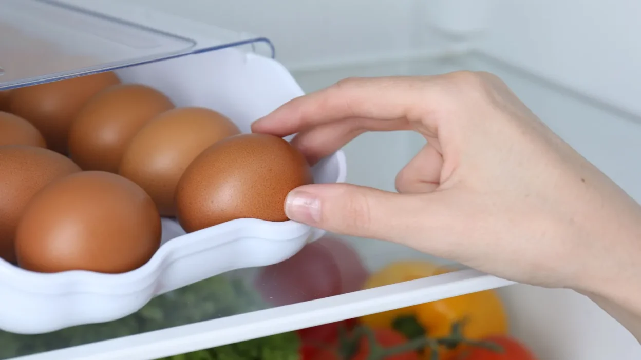 Polonya da yumurta fiyatlari yukseliste bazi urunlerde dusus yasandi 57748