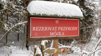 Polonyali bilim i nsanlari dogayi koruma yasasi degisikliklerine karsi cikti yeni koruma alanlari risk altinda 66243