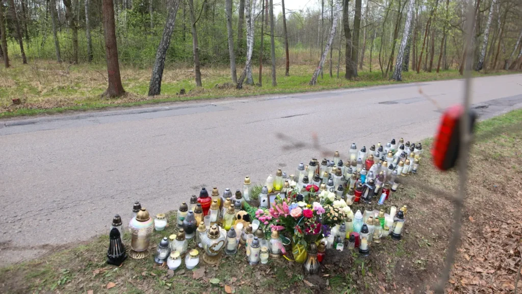 polonyali milletvekili litewka nin olumune neden oldugu i ddiasiyla gozaltina alinan supheli serbest birakildi 67221