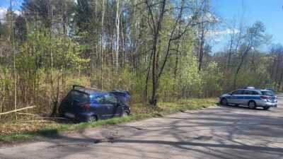 Polonyali milletvekili litewka trafik kazasinda hayatini kaybetti 66252