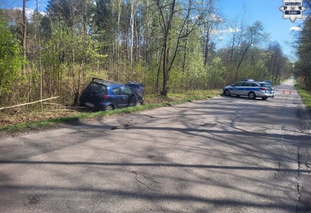 Polonyali milletvekili litewka trafik kazasinda hayatini kaybetti surucu tutuklandi 66267