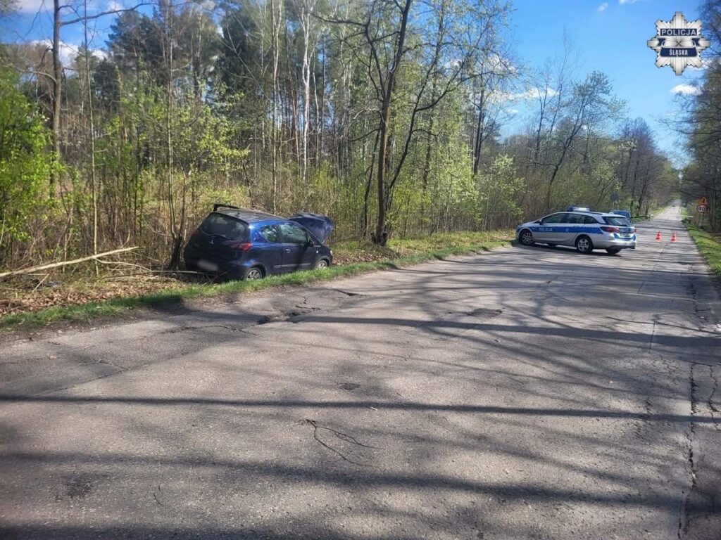 polonyali milletvekili litewka trafik kazasinda hayatini kaybetti surucu tutuklandi 66267