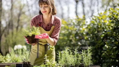 Rod arazilerinde kullanim kisitlamalari kiracilik hakkinin kaybina yol acabilecek i hlaller 61555