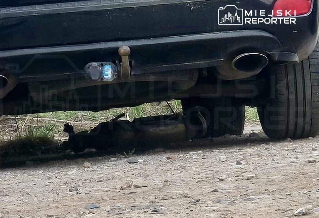 Varsova da katalizor hirsizligi girisimi i ki supheli gozaltina alindi 63055