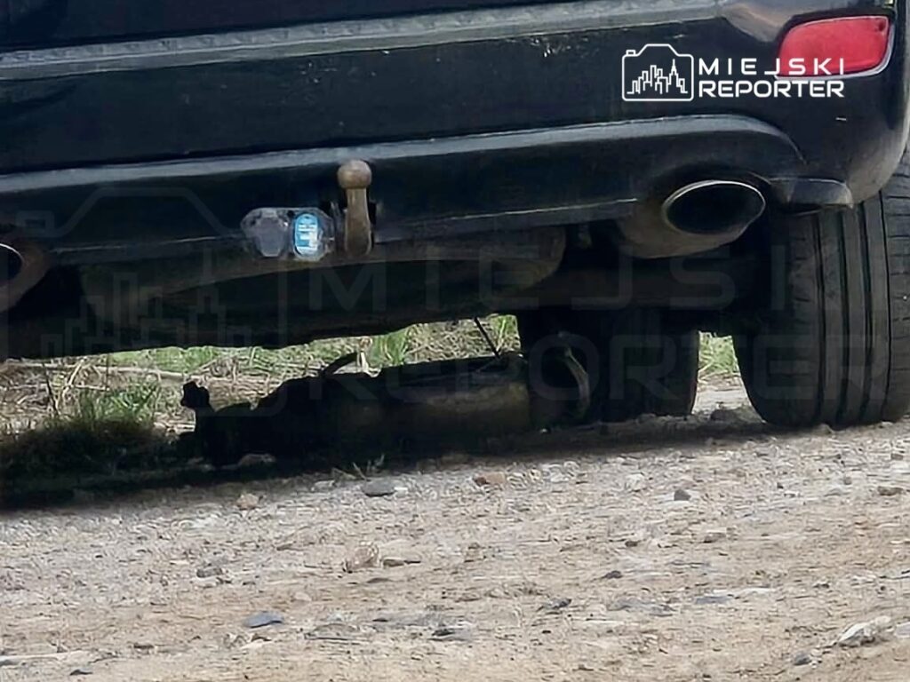 varsova da katalizor hirsizligi girisimi i ki supheli gozaltina alindi 63055