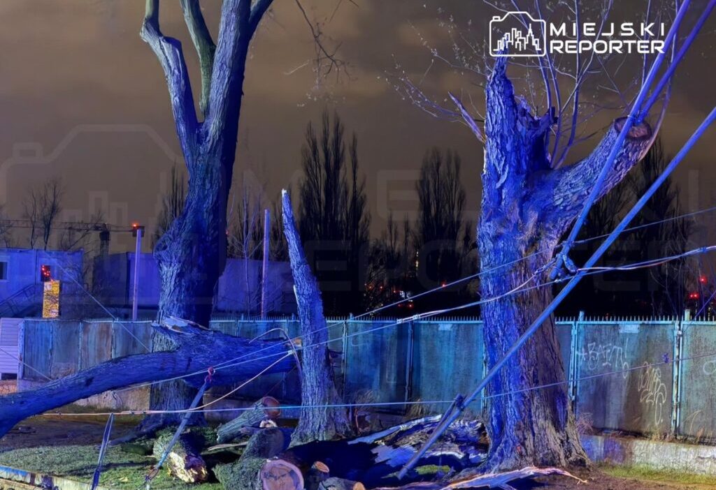 Varşova'da şiddetli fırtına tramvay hattını felç etti 1 Varsova da siddetli firtina tramvay hattini felc etti 58992