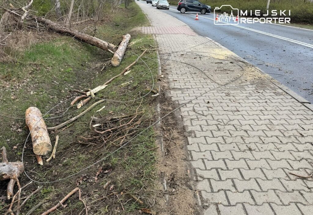 Varsova ve cevresinde siddetli firtina altyapida ve ulasimda yaygin hasarlar 59051