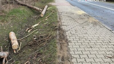 Varşova ve çevresinde şiddetli fırtına: altyapıda ve ulaşımda yaygın hasarlar 2 Varsova ve cevresinde siddetli firtina altyapida ve ulasimda yaygin hasarlar 59051