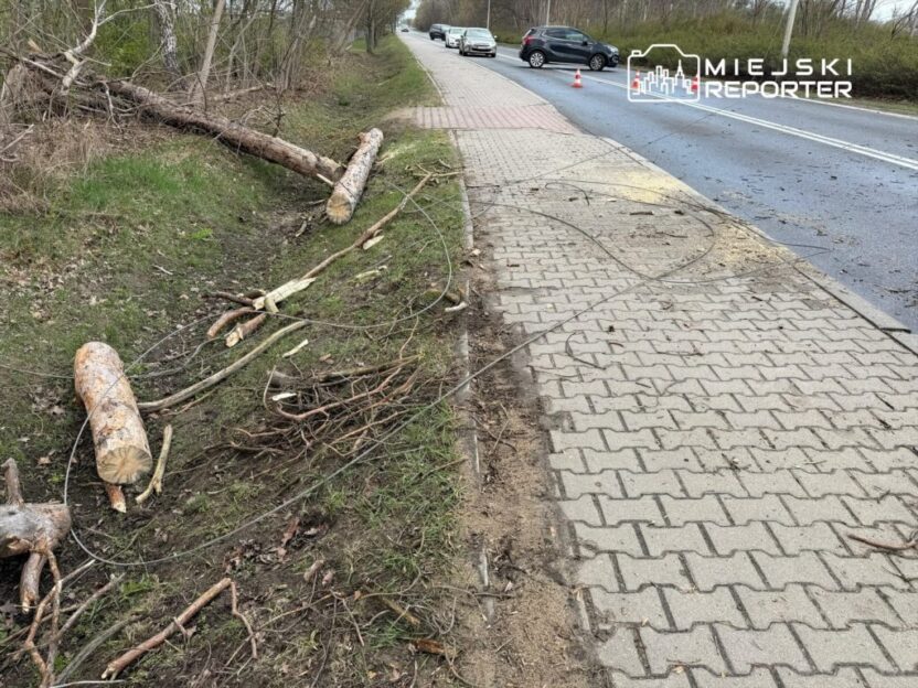 Varsova ve cevresinde siddetli firtina altyapida ve ulasimda yaygin hasarlar 59051