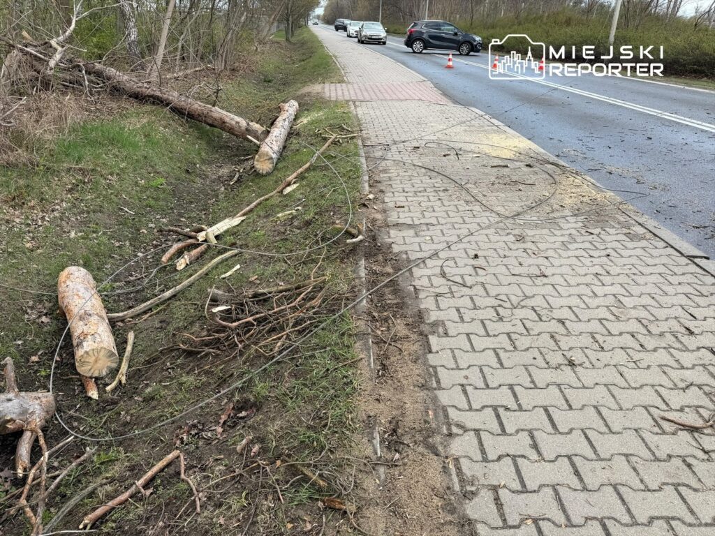 varsova ve cevresinde siddetli firtina altyapida ve ulasimda yaygin hasarlar 59051