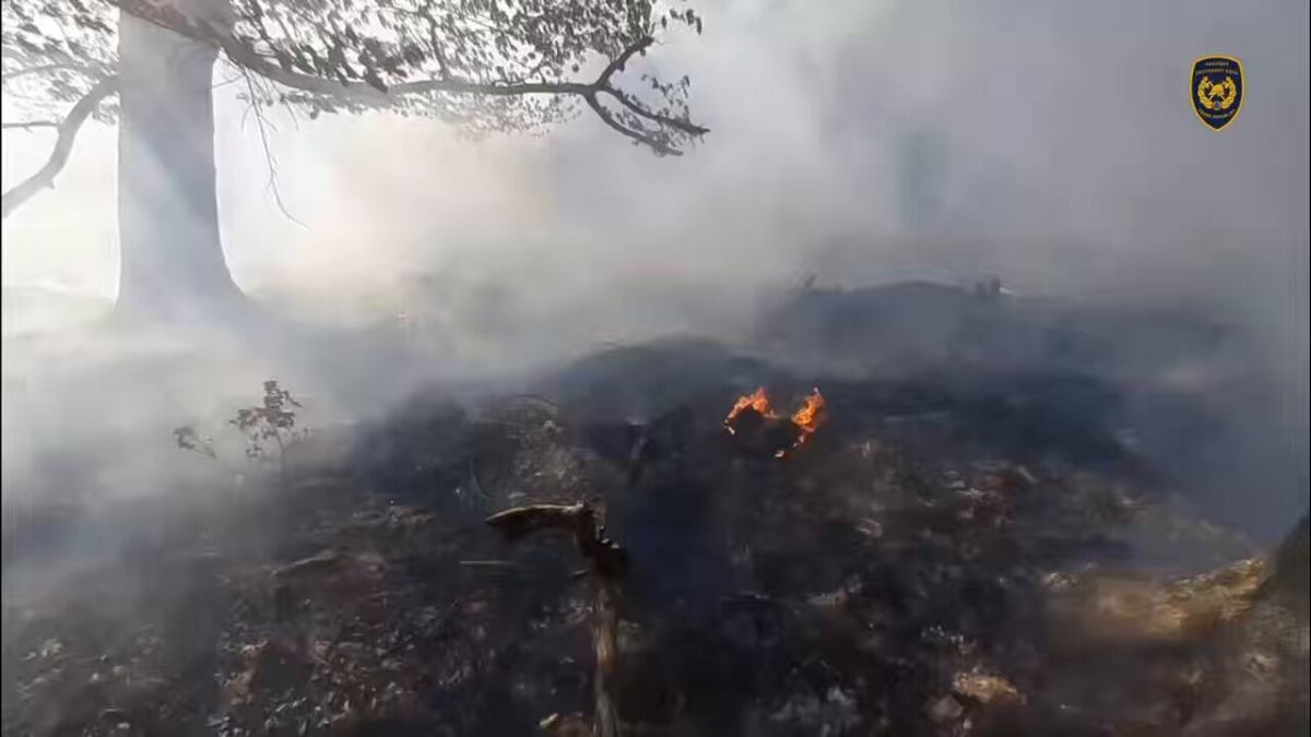 Cekya da ulusal parkta orman yangini kontrol altina alinmaya calisiliyor 68130
