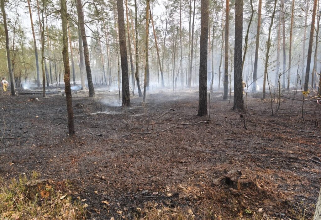 Legionowo da 2 hektarlik orman yangini kontrol altina alindi 69729