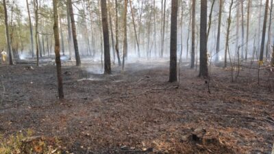 Legionowo da 2 hektarlik orman yangini kontrol altina alindi 69729
