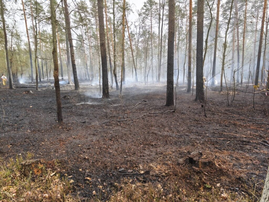 legionowo da 2 hektarlik orman yangini kontrol altina alindi 69729