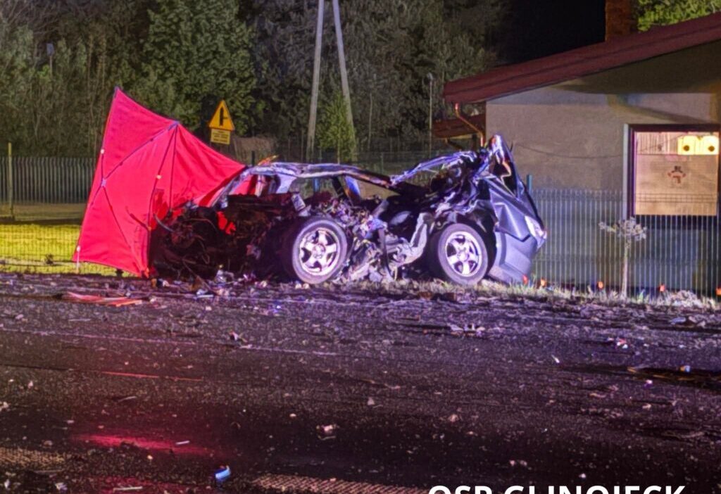 Polonya da 60 numarali karayolunda trafik kazasi i ki kisi hayatini kaybetti 70364