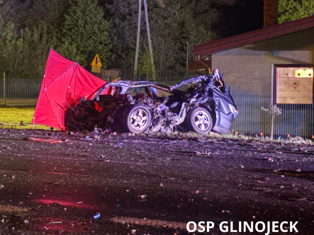 polonya da 60 numarali karayolunda trafik kazasi i ki kisi hayatini kaybetti 70364