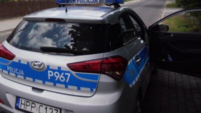 Polonya da havali tufekle kaza 13 yasindaki cocuk kardesini yaraladi 72480