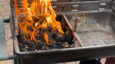 Polonya da piknik kazasi 7 yasindaki cocuk alevlerin kurbani oldu 68407