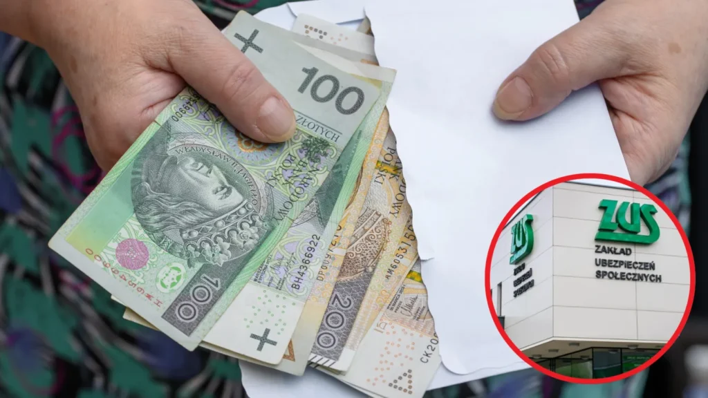 polonya sosyal sigortalar kurumu ndan zus emeklilerin calisma hayatina katilimina destek 70529