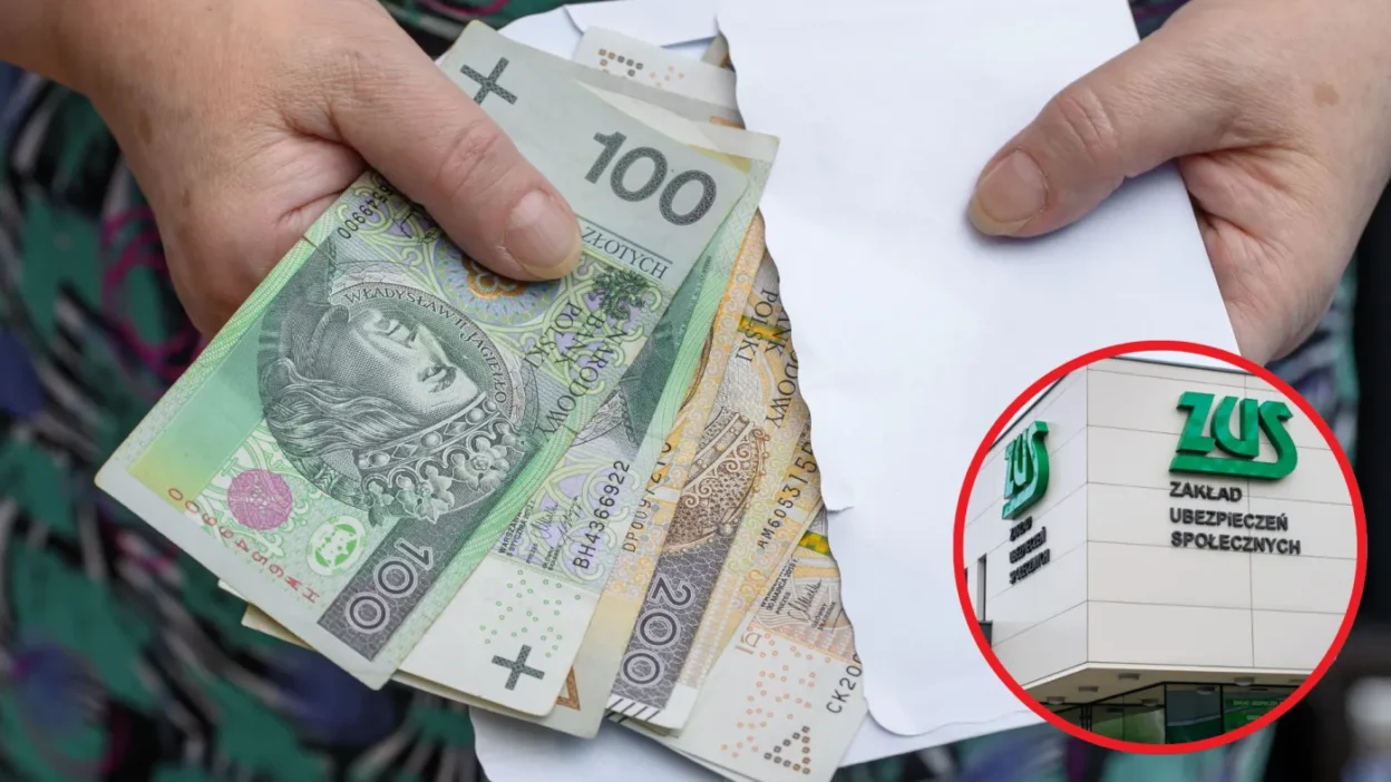 Polonya sosyal sigortalar kurumu ndan zus emeklilerin calisma hayatina katilimina destek 70529