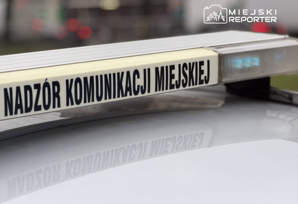 Varsova da 20 mayis taki gosteri nedeniyle toplu tasimada genis kapsamli guzergah degisiklikleri 70966