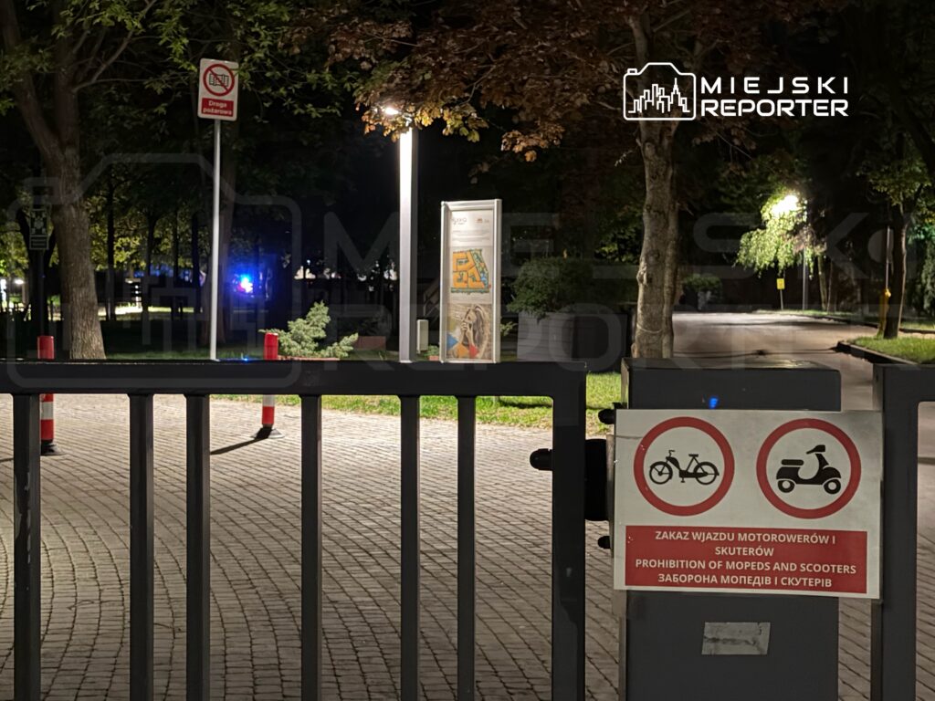 varsova da elektrikli aracla yayaya carpma sorusturma baslatildi 69420