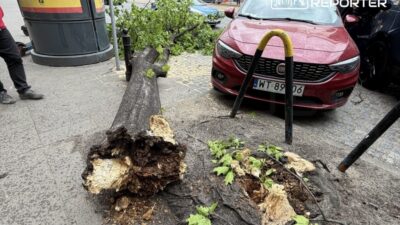 Varsova da siddetli ruzgar devrilen agac nedeniyle iki araca zarar verdi 70031