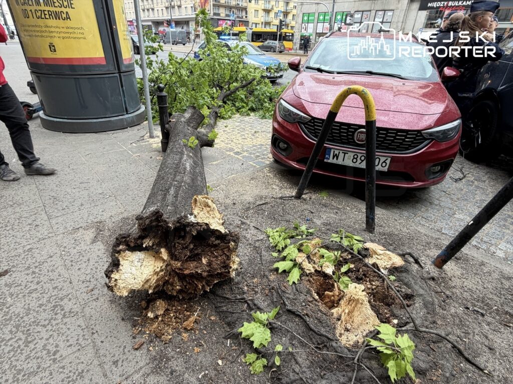 varsova da siddetli ruzgar devrilen agac nedeniyle iki araca zarar verdi 70031