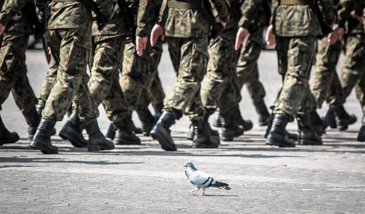 Polonya’da bir asker cinayete teşebbüs suçlamasıyla ordudan ihraç edildi 1 Polonya da bir asker cinayete tesebbus suclamasiyla ordudan ihrac edildi 74156