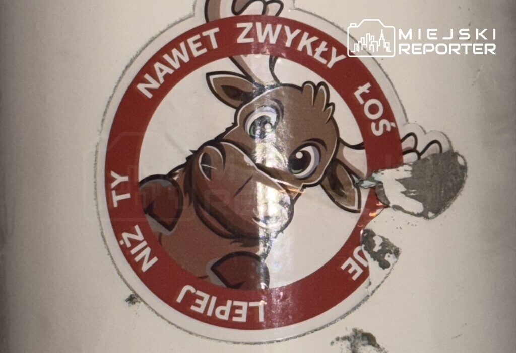 Polonya da hatali park etmeye ceza kesmeye calisan surucuye hapis cezasi i stemli dava 76929
