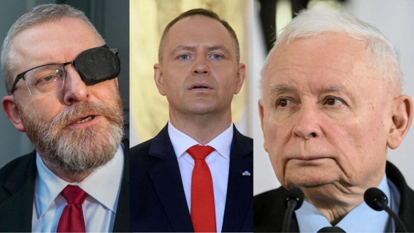 Polonya da siyasi liderlik ve secmen egilimleri uzerine guncel arastirmalar 74730