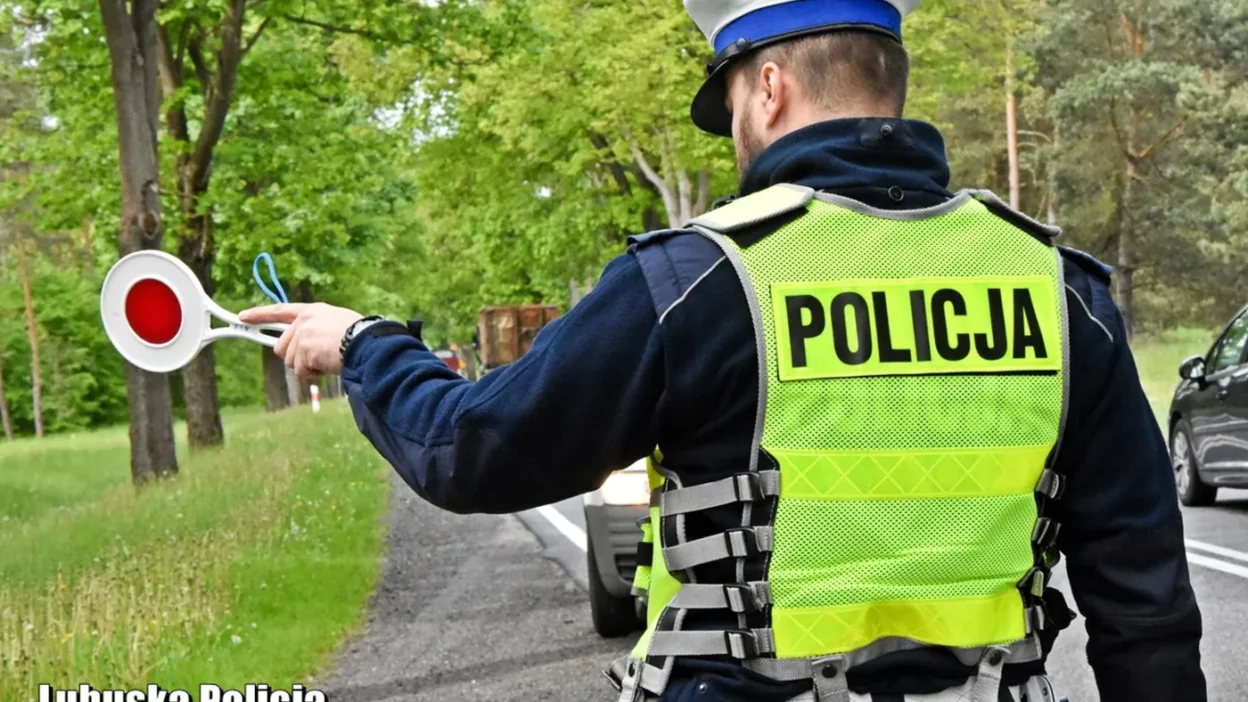 Polonya da trafik verileri guneydogu bolgeleri riskli varsova i statistiklerde ayrisiyor 76477