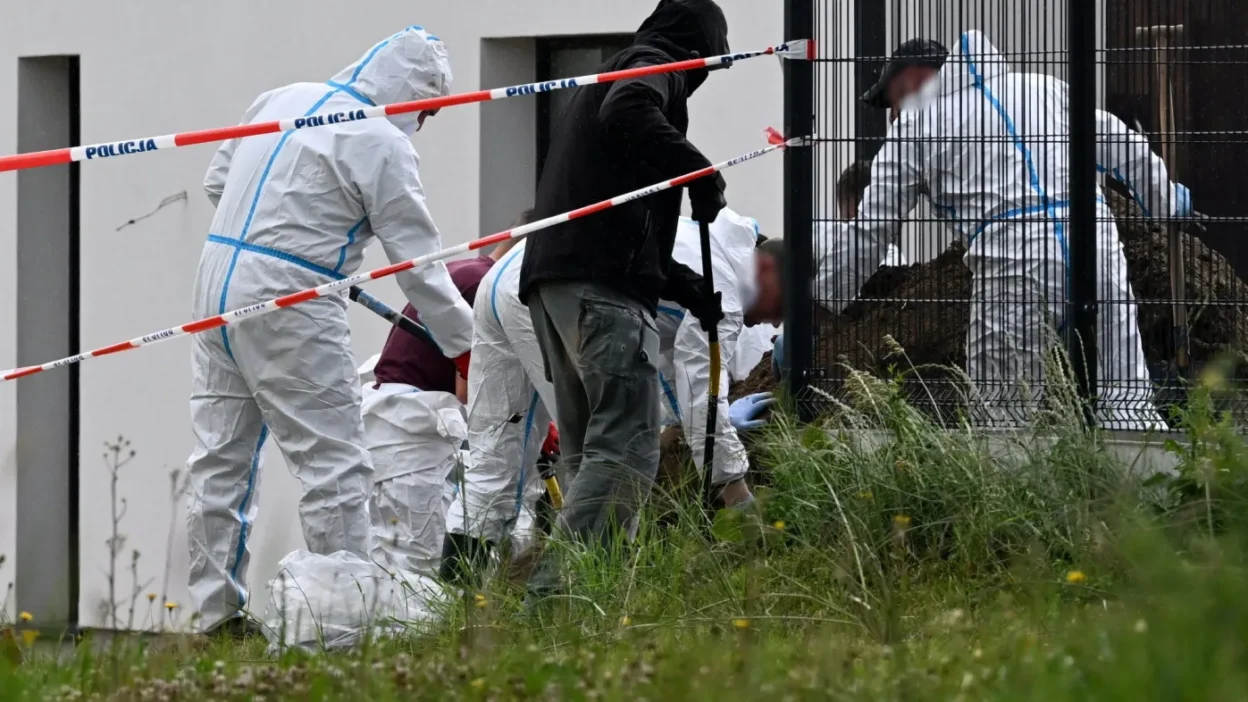 Polonya’nın lutoryż kentinde bir arazide çok sayıda fetüs kalıntısı bulundu 1 Polonya nin lutory kentinde bir arazide cok sayida fetus kalintisi bulundu 76384